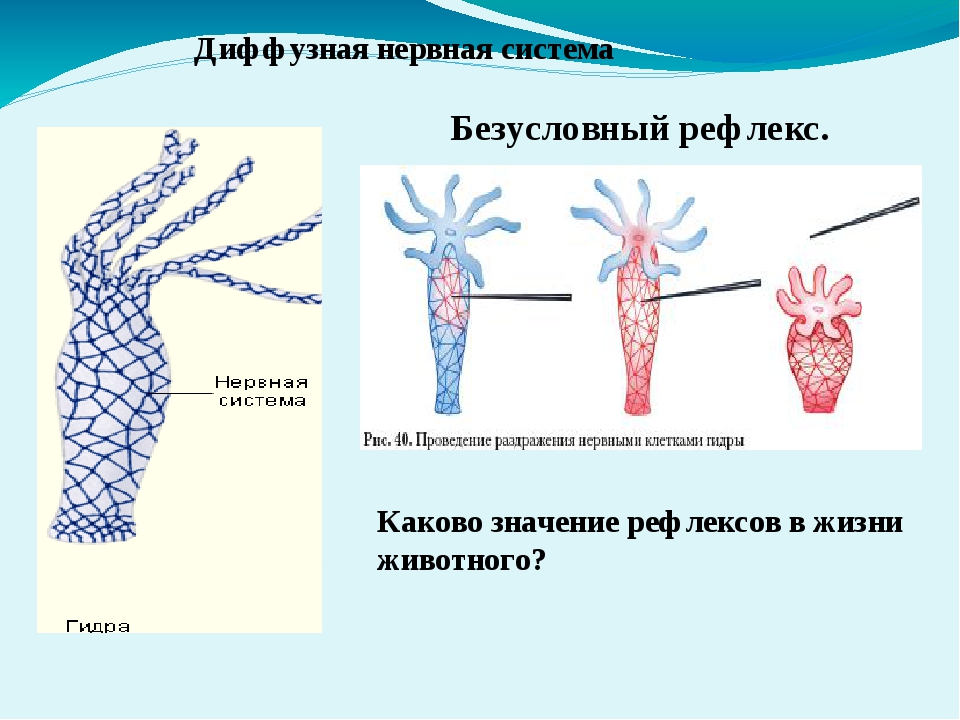 Кракен сайт ссылка kraken clear com